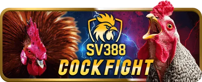 Chương trình VIP độc quyền của red88 khuyến mãi